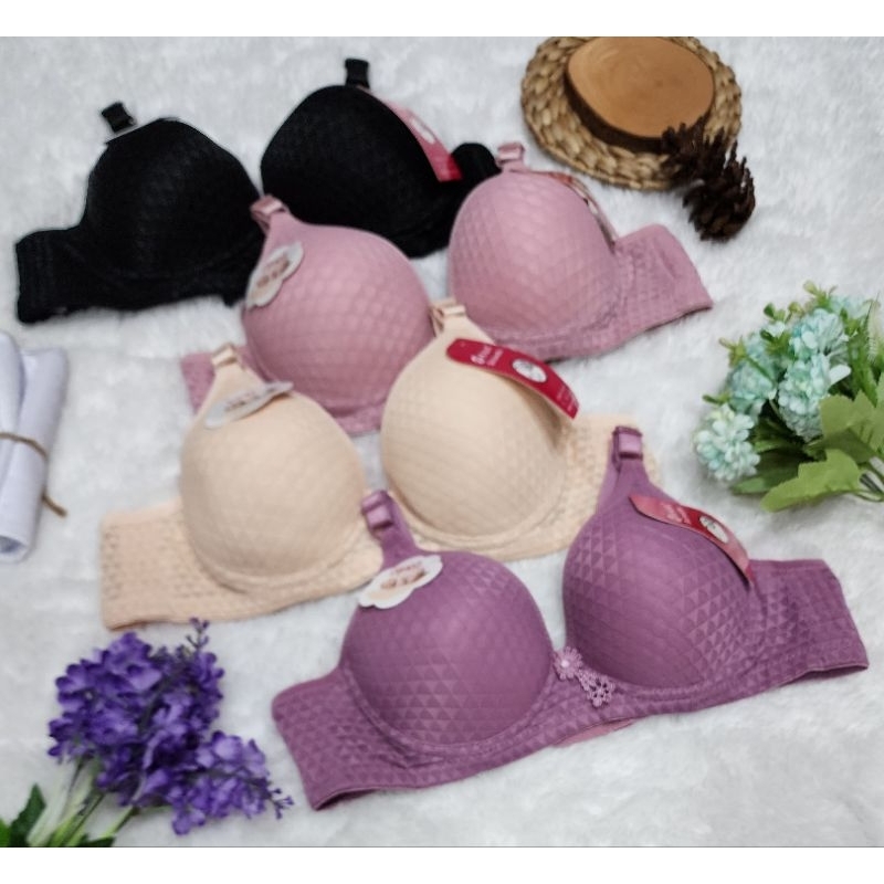 Jual Bra Wanita Kawat Busa Tipis Cup B Kait Shopee Indonesia