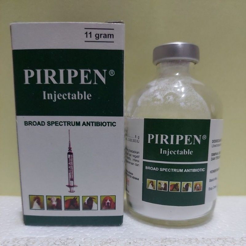 Jual Penicillin Terlengkap & Harga Terbaru Juni 2026 | Shopee Indonesia