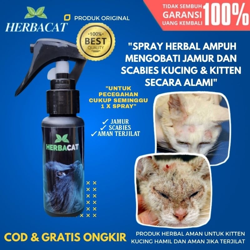 Jual Spray Jamur Kucing Obat Jamur Scabies Kucing HerbaCat Alami
