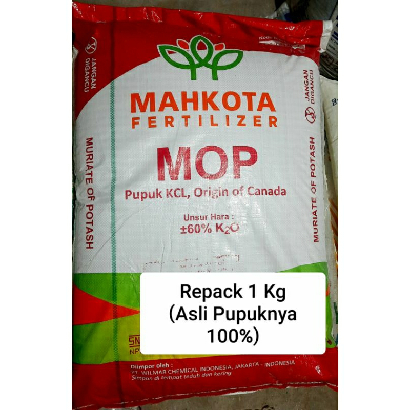 Jual Pupuk Kcl Mahkota Mop Kg Repack Ecer Original Shopee Indonesia