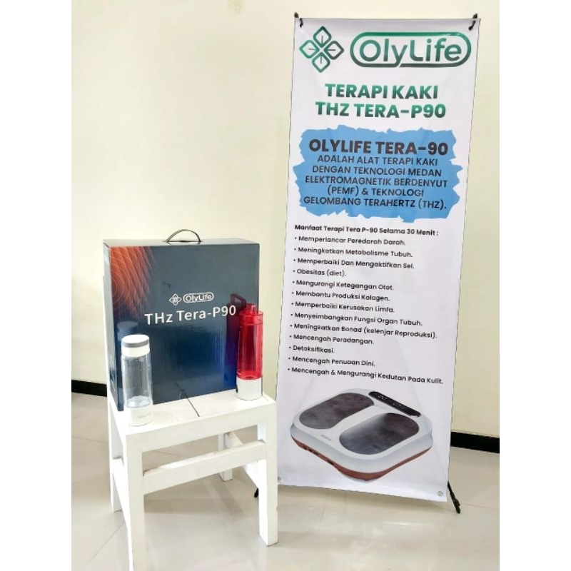 OlyLife PEMF Therapy Machine THz Tera-P90+ (without Gels