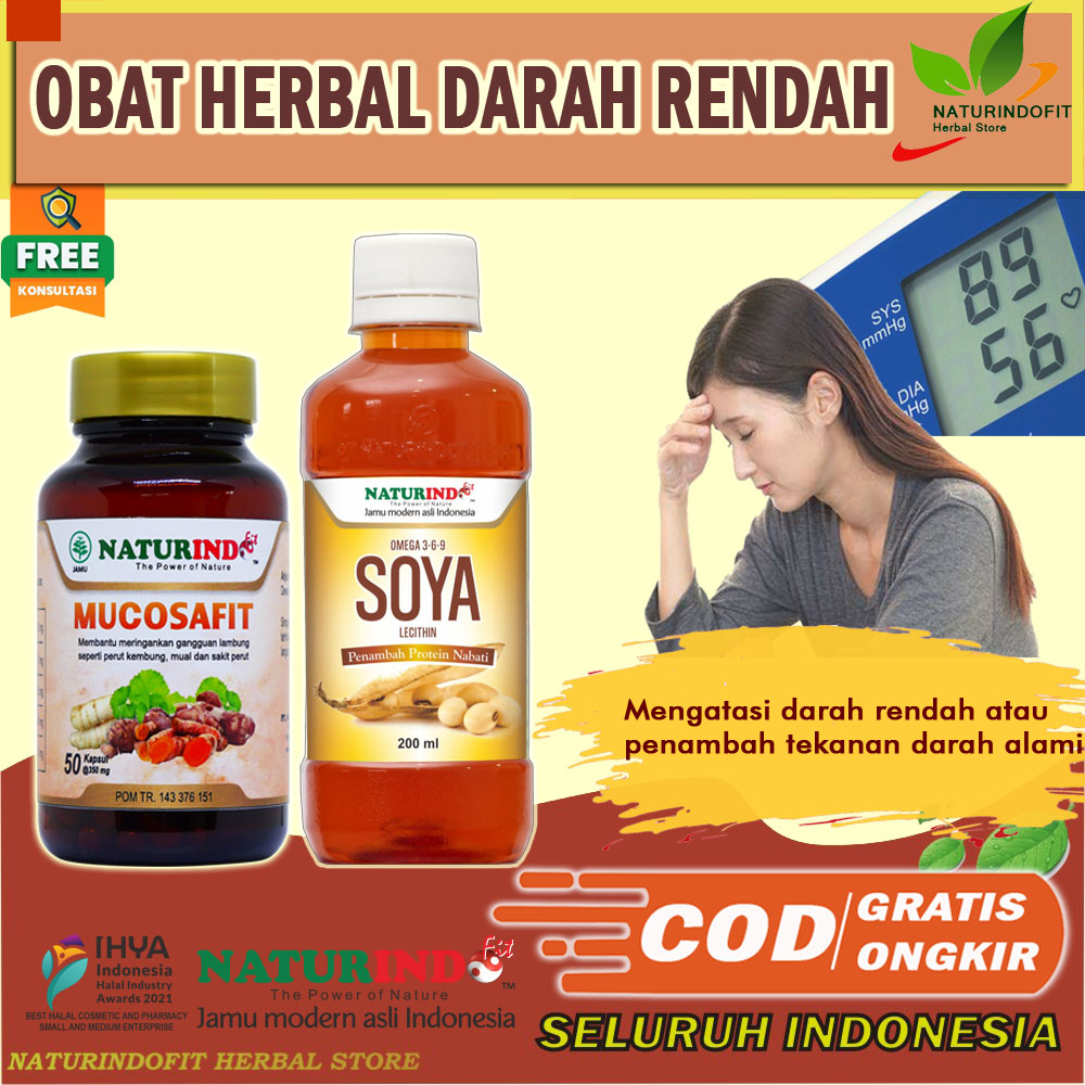 Jual Obat Darah Rendah Obat Hipotensi Hypotensi Herbal Obat Penambah Hb