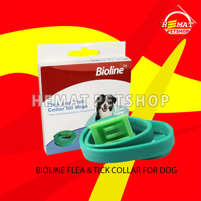 For Dogs Best Harness For Labs Black Lab Best Dog Harness For Labs
