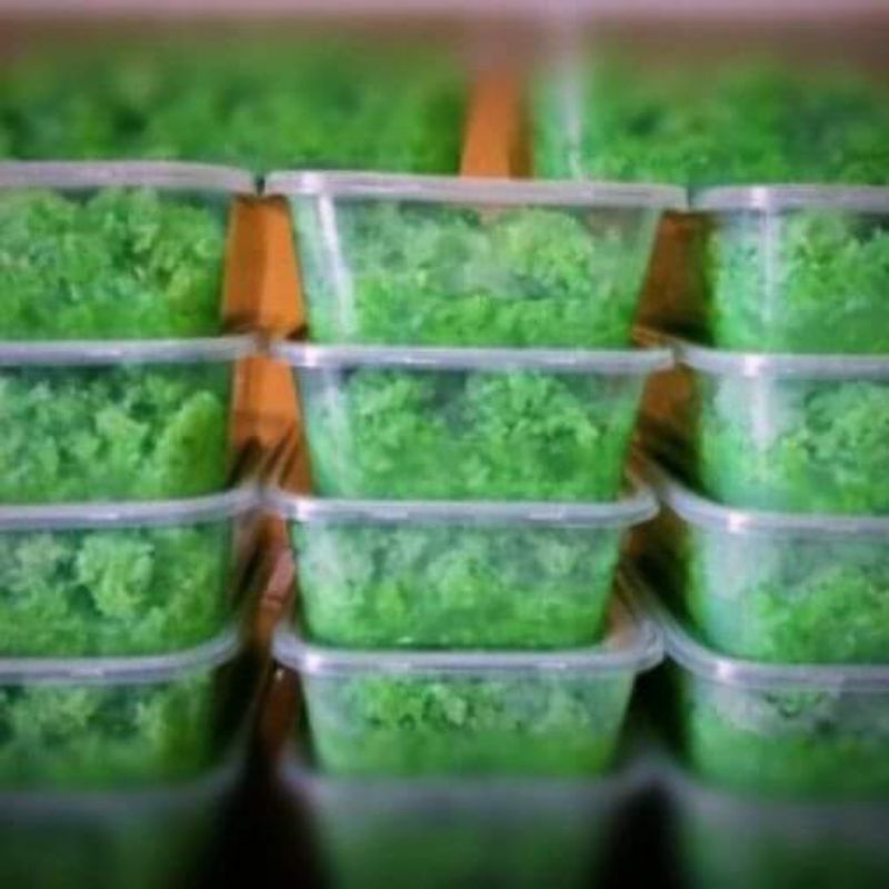 Jual Tape Ketan Hijau Manis kemasan 500gr (free bubble wrap) Shopee