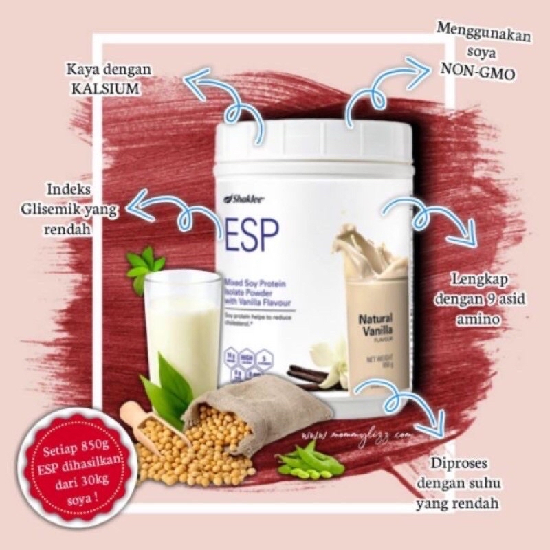 Shaklee INSTANT PROTEIN コーヒー 1,000g4個 ソイプロテイン