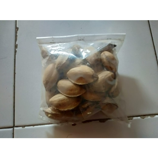 Jual Buah Ketapang Kering Shopee Indonesia