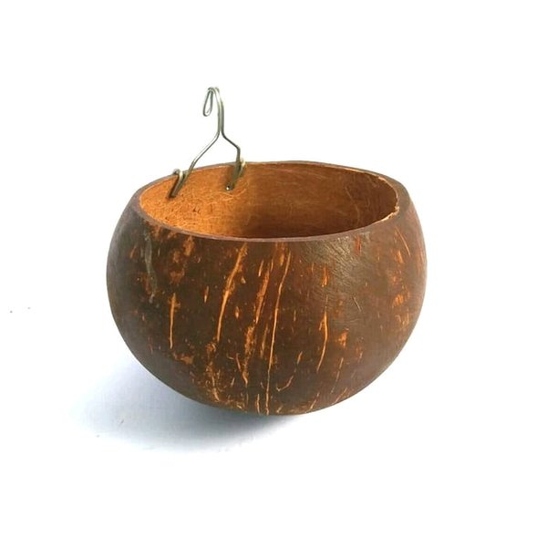 Jual Batok Kelapa Terlengkap & Harga Terbaru Juli 2026 | Shopee Indonesia