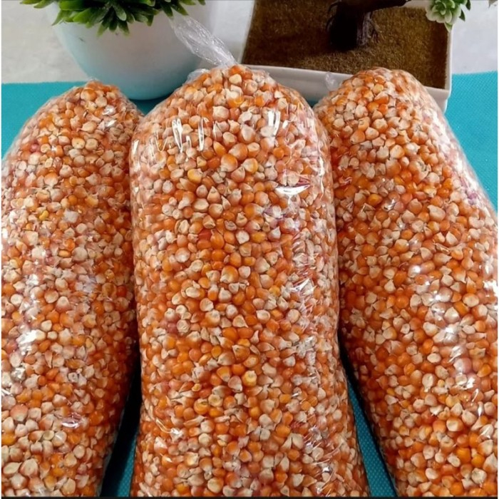 Jual Jagung Hybrida Pakan Ternak Atau Jagung Pipil Kering Besar Jual Kiloan Shopee Indonesia