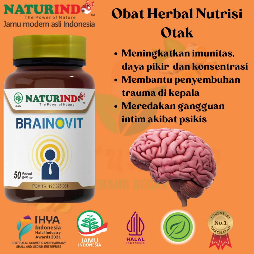 Jual Herbal Brainovit Naturindo Suplemen Nutrisi Otak Alzhaimer