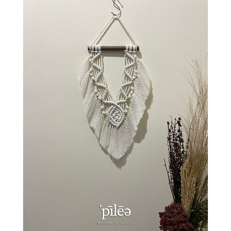 Jual Macrame Wall Hanging Dekorasi Dinding Minimalis Aesthetic Fyllo Macrame Pilea By