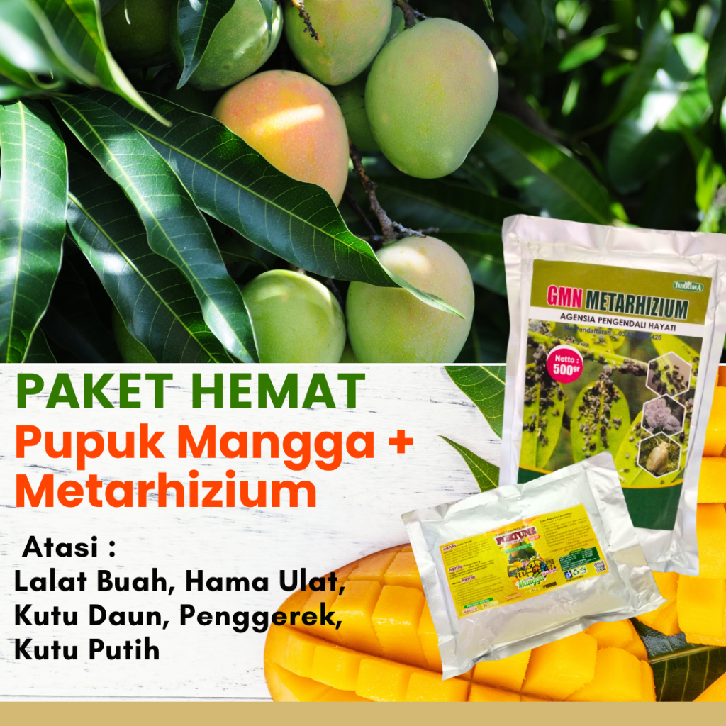 Jual Pupuk Mangga Agar Berbuah Lebat Dan Tidak Rontok Obat Hama