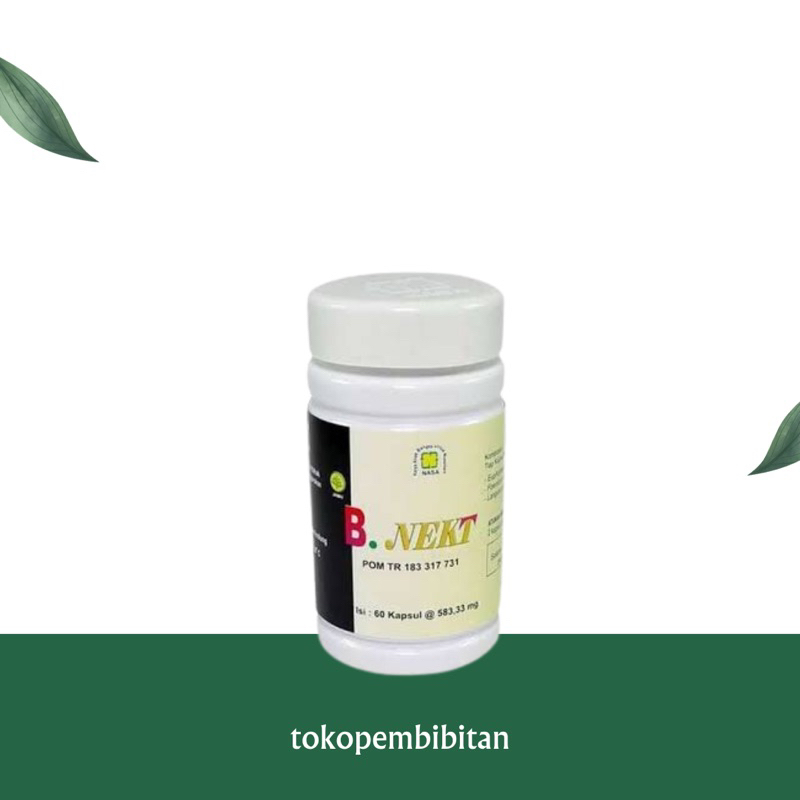 Jual B NEKT (Obat Kesehatan Paru-paru) | Shopee Indonesia