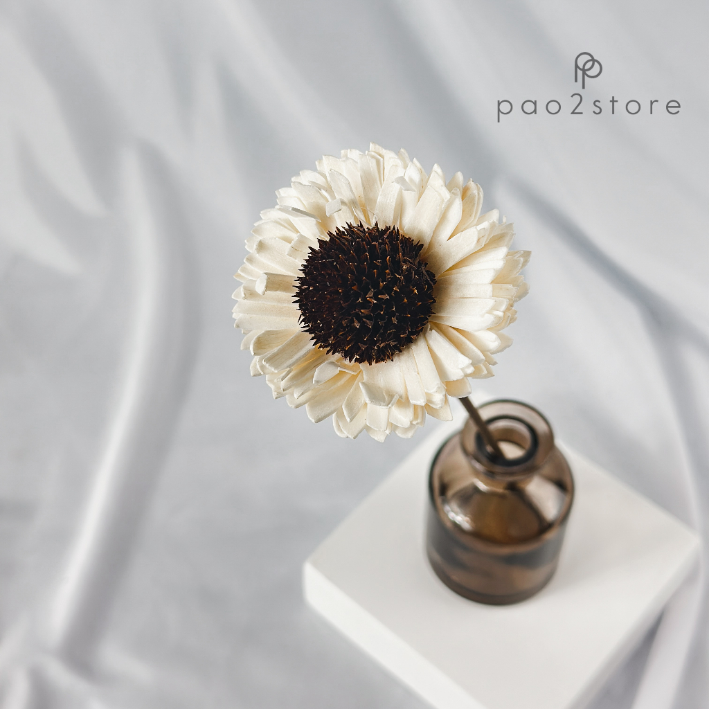 Jual Bunga Reed Diffuser - Sola Flower - Kering / Dried Klobot Wood ...