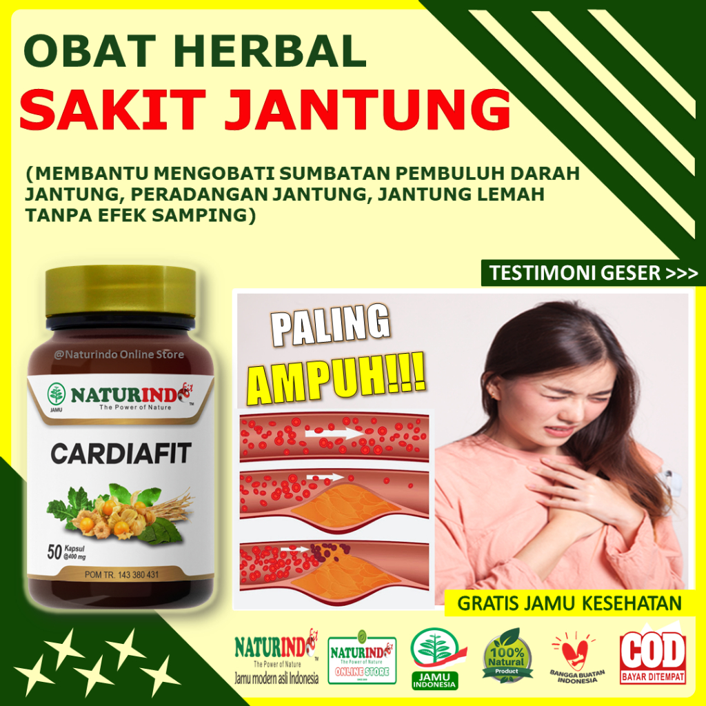 Jual Obat Jantung Bengkak Koroner Jantung Berdebar Lemah Sakit Jantung ...