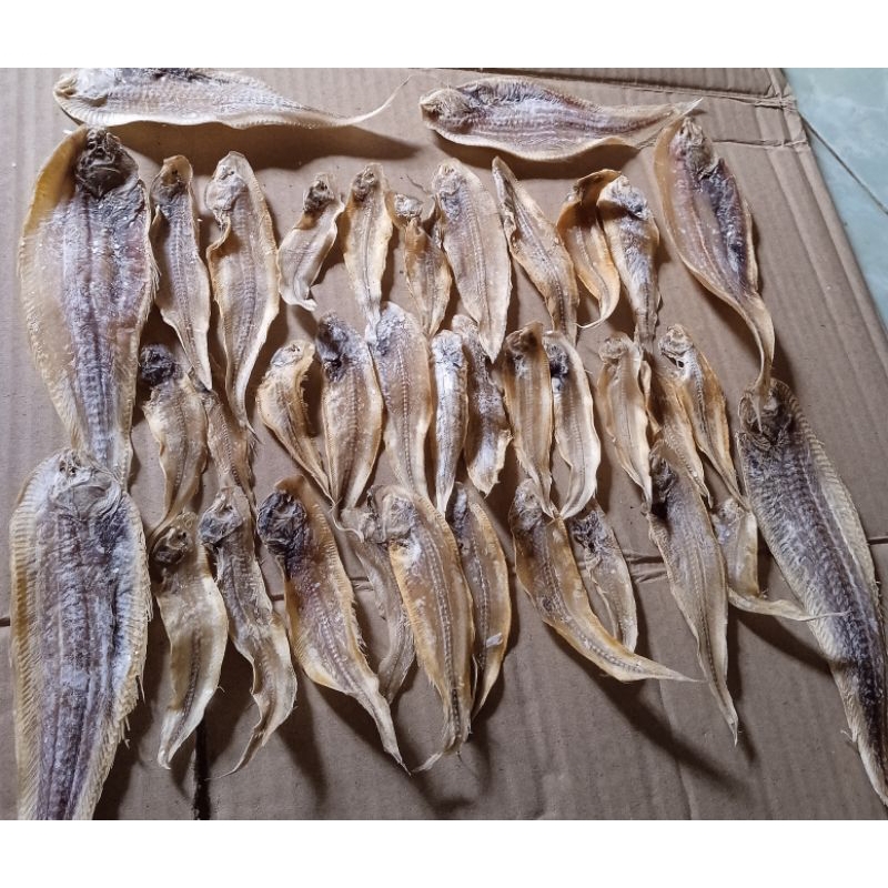 Jual Ikan Asin Lendra Gram Shopee Indonesia