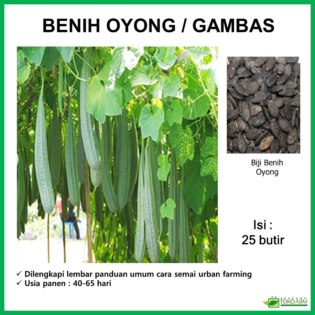 Jual Benih Oyong Gambas Kemasan Repack Bibit Tanaman Sayur Sayuran