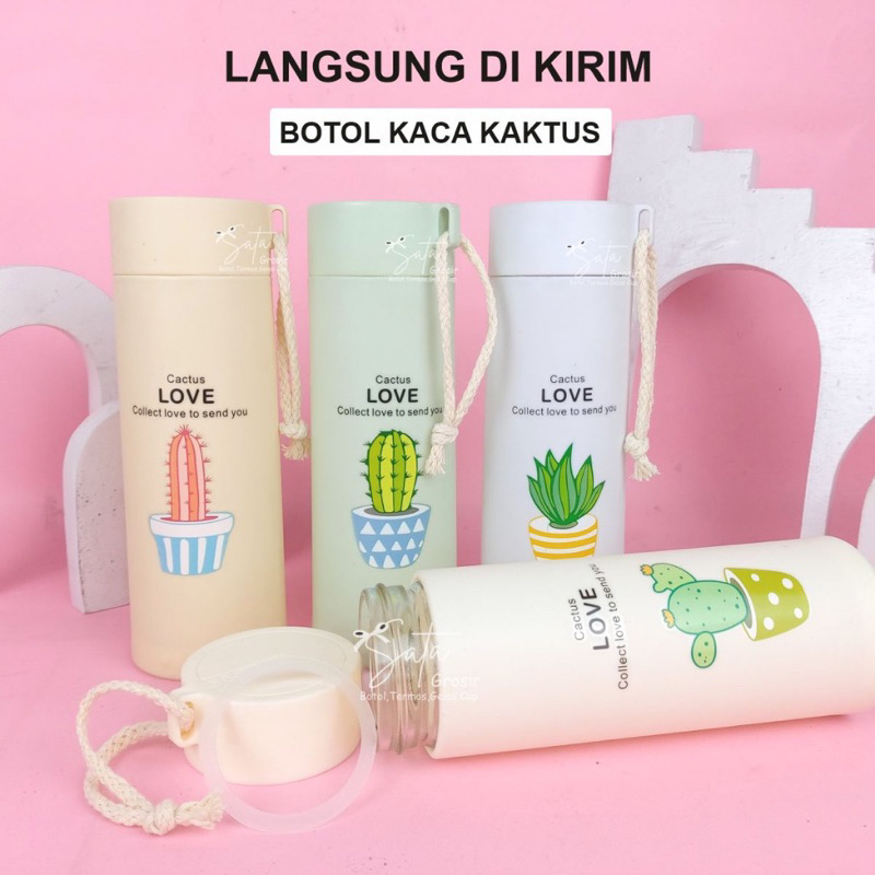 Jual BOTOL KACA KAKTUS / tumbler kaktus kaca termos / kaktus kaca