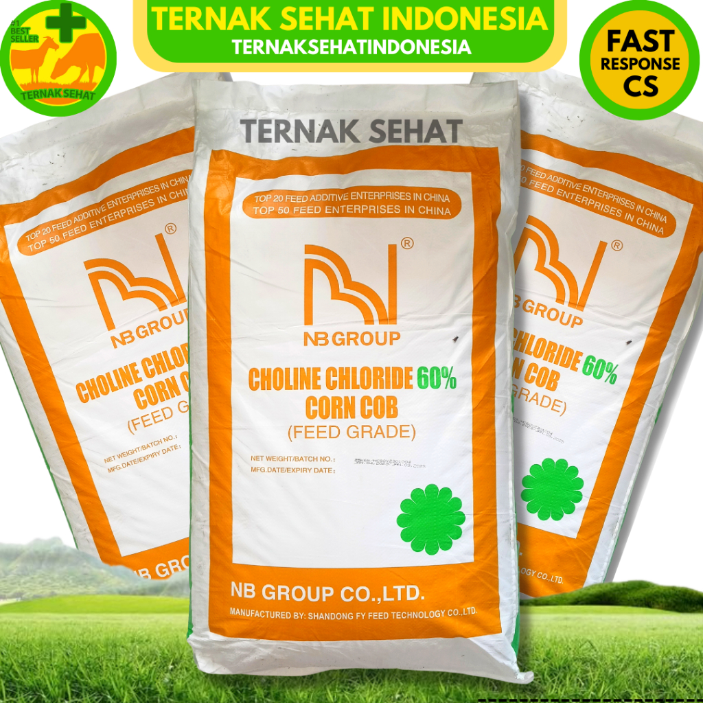 Jual CHOLINE CHLORIDE SHANDONG Feed Additive Nutrisi Ternak Unggas