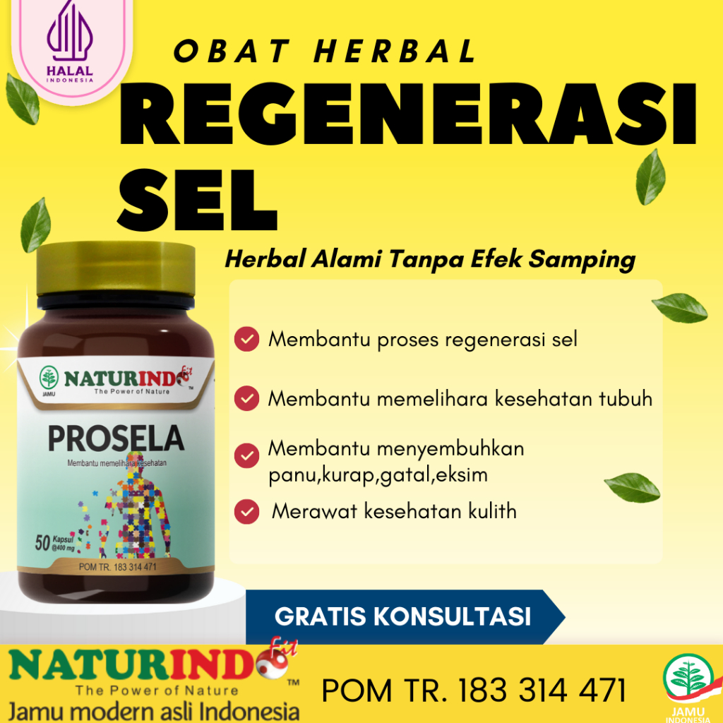 Jual Obat Herbal Membantu Proses Penyembuhan Luka Dan Regenerasi Sel ...