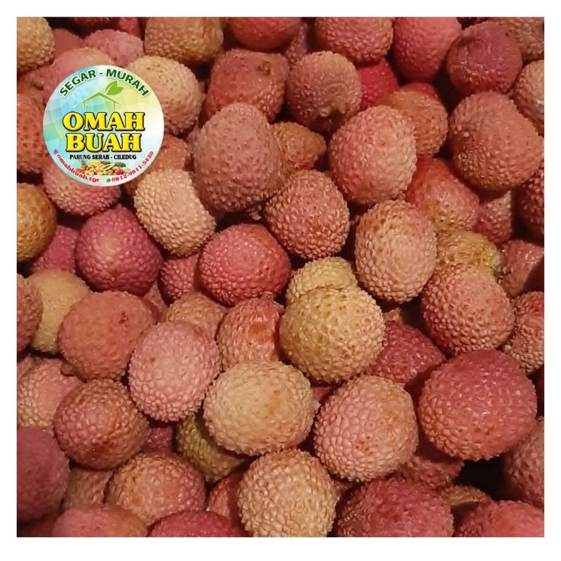 Jual Buah Leci Madu Import Manis Shopee Indonesia 1736