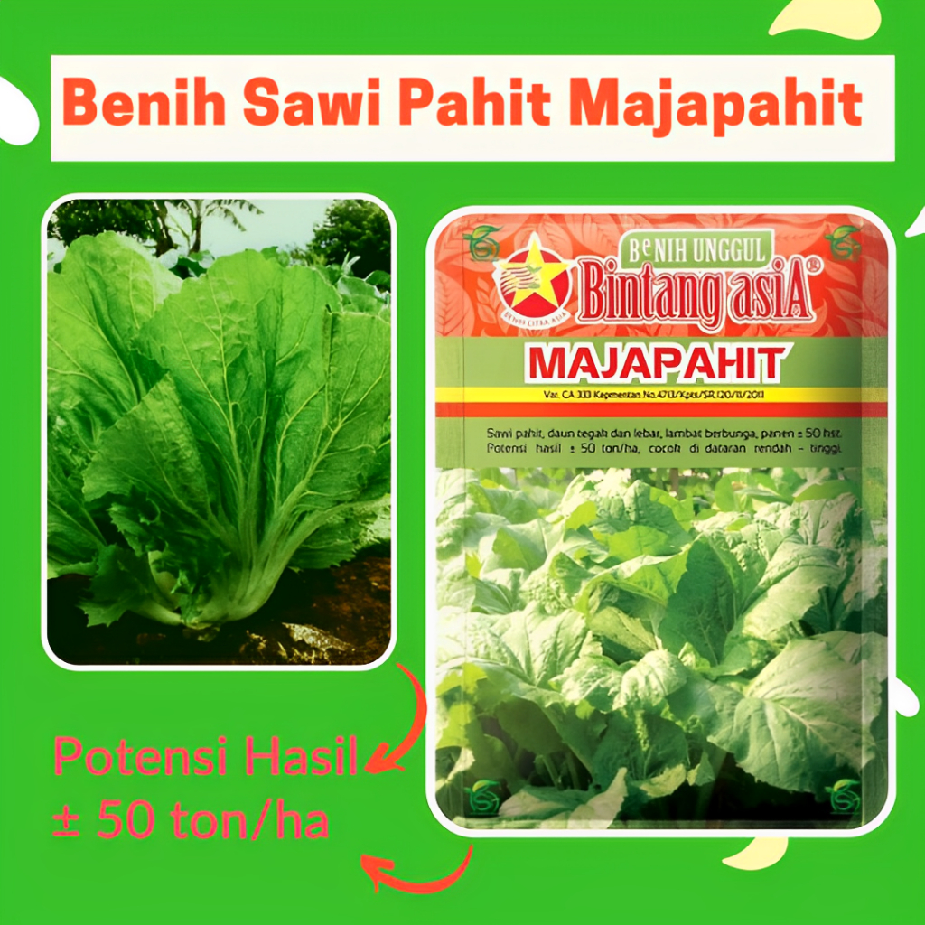 Jual Benih Sawi Pahit Majapahit 25 Gram Cap Bintang Asia Pt Benih Citra