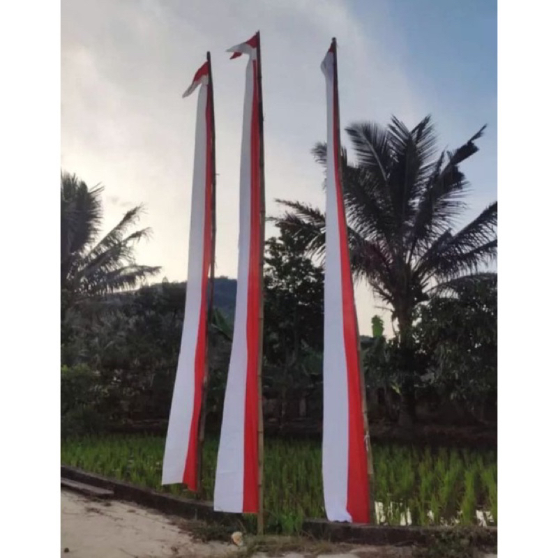 Jual UMBUL UMBUL LAYUR MERAH PUTIH M Dan M BENDERA LAYUR MERAH PUTIH MURAH Shopee Indonesia