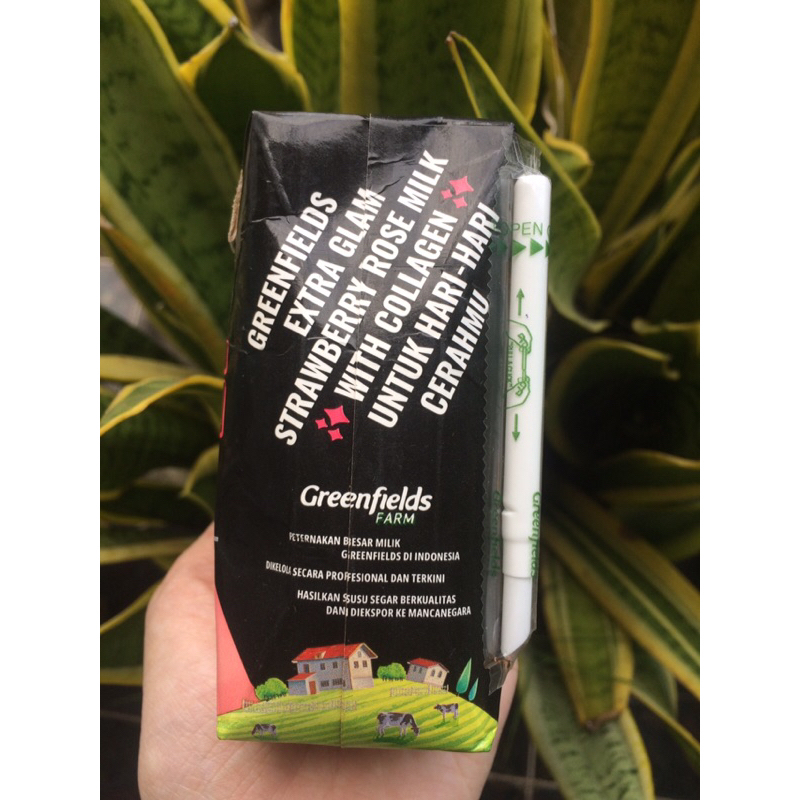Jual greenfields Chocomalt Milk (Extra Go) - Honey Earl Grey Milk Tea ...