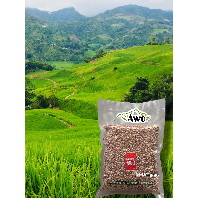 Jual Beras Mandoti Terlengkap & Harga Terbaru Juli 2026 | Shopee Indonesia