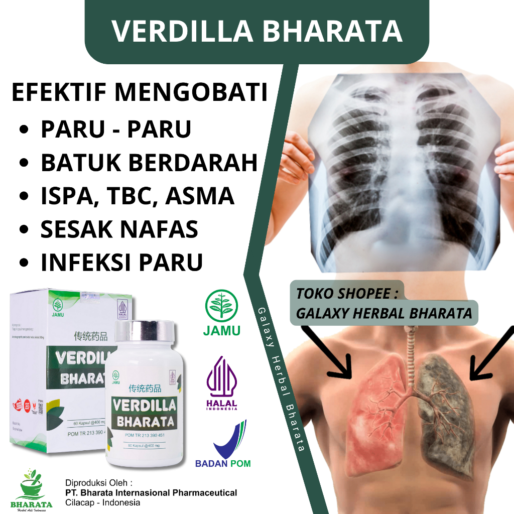 Jual Obat Paru Paru Tbc Batuk Berdarah Infeksi Paru Ampuh Verdilla