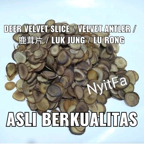 Jual Deer velvet slice 3gram / Velvet antler / Lu rong / Luk jung ...