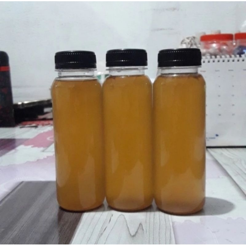 Jual Air Starter Scoby Kombucha 250 Ml Shopee Indonesia