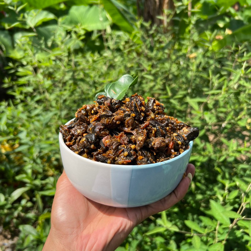 Jual rica rica bekicot premium best seller 1 kg | Shopee Indonesia