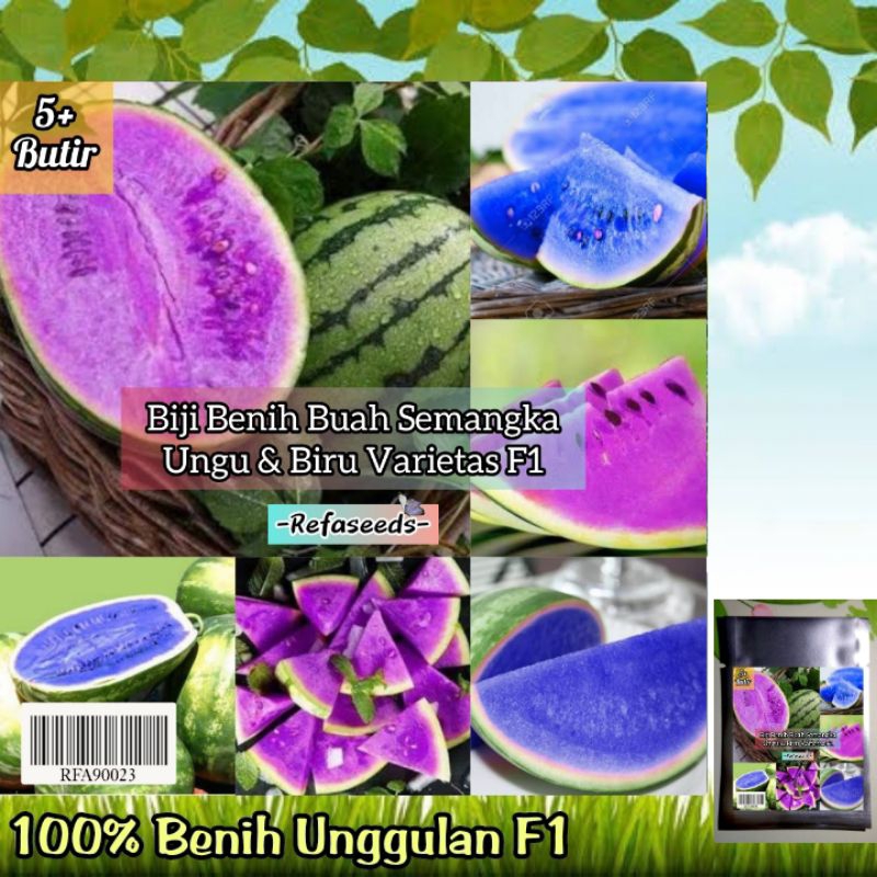 Jual Pack Biji Benih Buah Semangka Ungu Biru Langka F Biji Semangka Murah Shopee