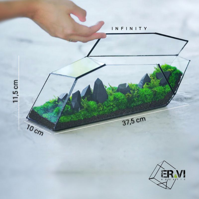 Jual Kaca terrarium INFINITY / terrarium glass geometric / wadah vas ...