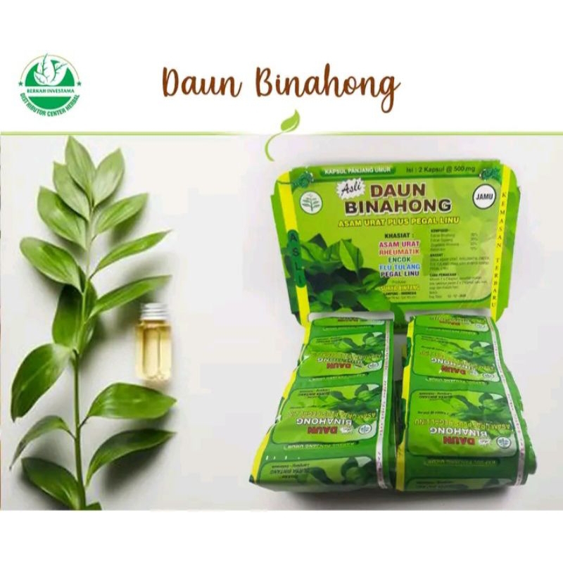 Jual Daun Binahong Kapsul Asam Urat Pegal Linu Saraf Kejepit Shopee