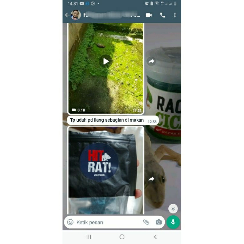 Jual Racun Tikus HIT RAT! 100gram Racun Ampuh Anti Tikus Got Hitrat ...