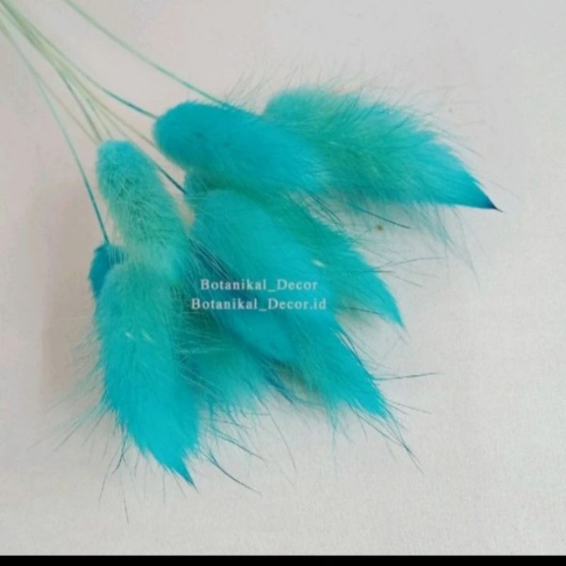 Jual Topper Ilalang, Artificial Bunny Tail, Hiasan Kue Bunga Rumput ...