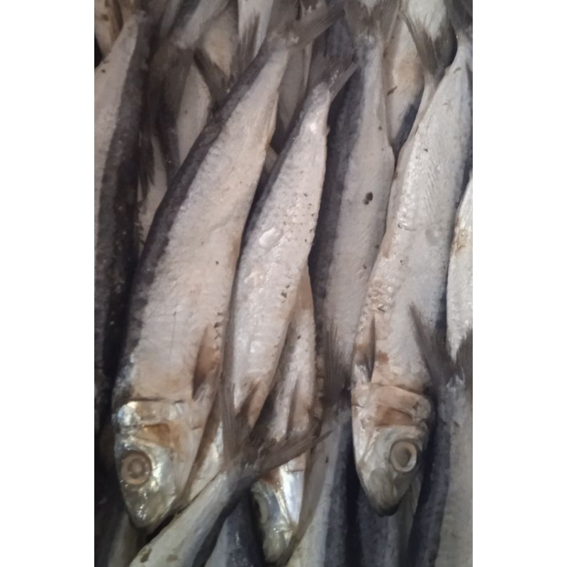 Jual ikan asin japuh sero( berat 500 gram) | Shopee Indonesia