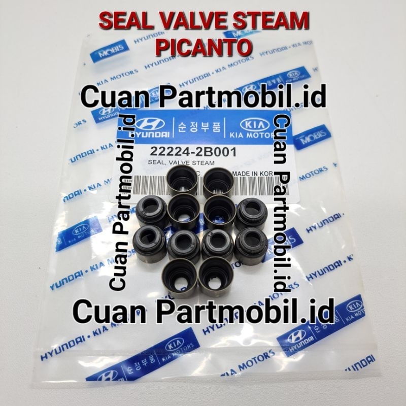 Jual VALVE STEAM SEAL KLEP KIA PICANTO COSMO VISTO HYUNDAI ATOZ