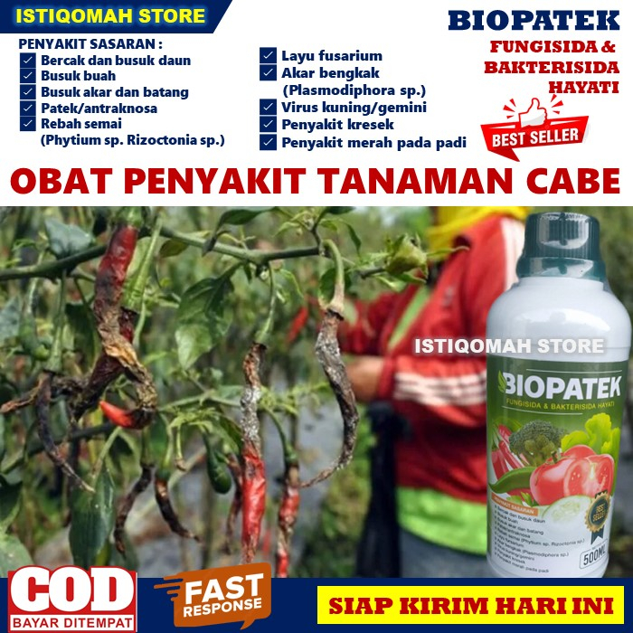 Jual Biopatek Ml Fungisida Dan Bakterisida Hayati Obat Penyakit