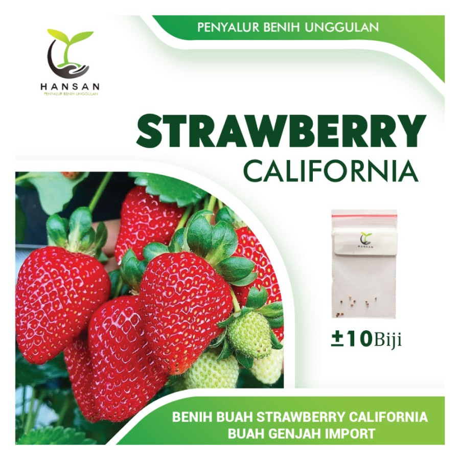 Jual 10 Benih Strawberry California Cepat Berbuah Bibit Tanaman Buah ...