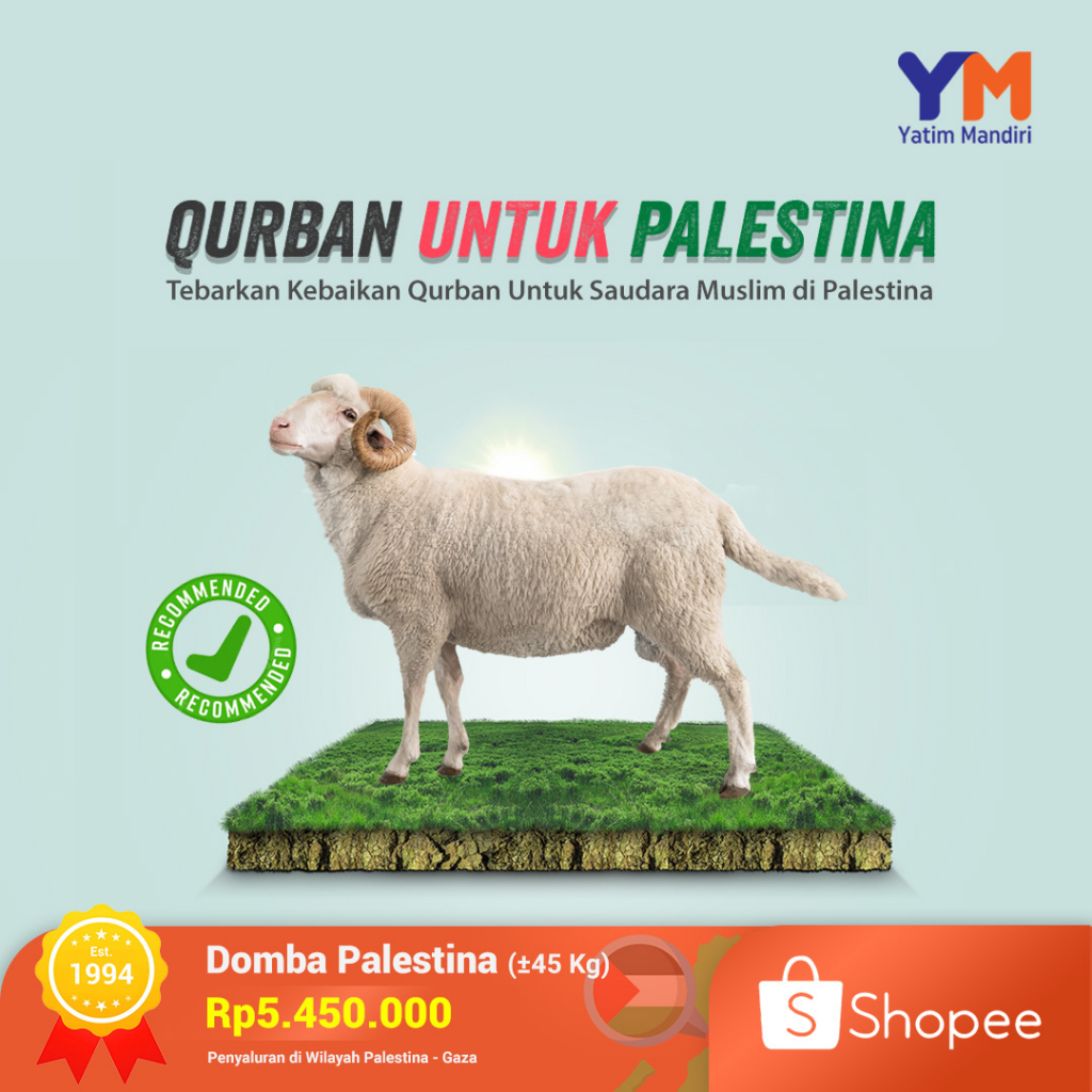 Jual Yatim Mandiri - Qurban Domba 1 Ekor Palestina | Shopee Indonesia