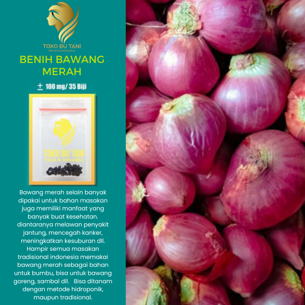 Jual BTN Benih Bawang Merah Lokananta Cap Panah Merah - Bibit Tanaman ...