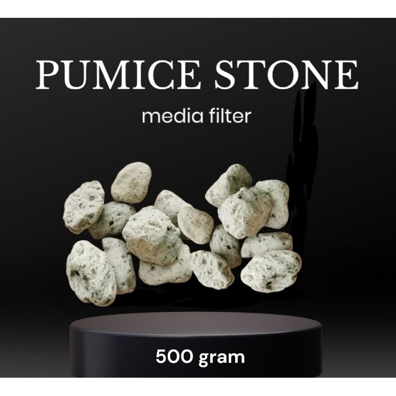 Jual batu apung pumice 23 cm media filter kolam dan aquarium Shopee