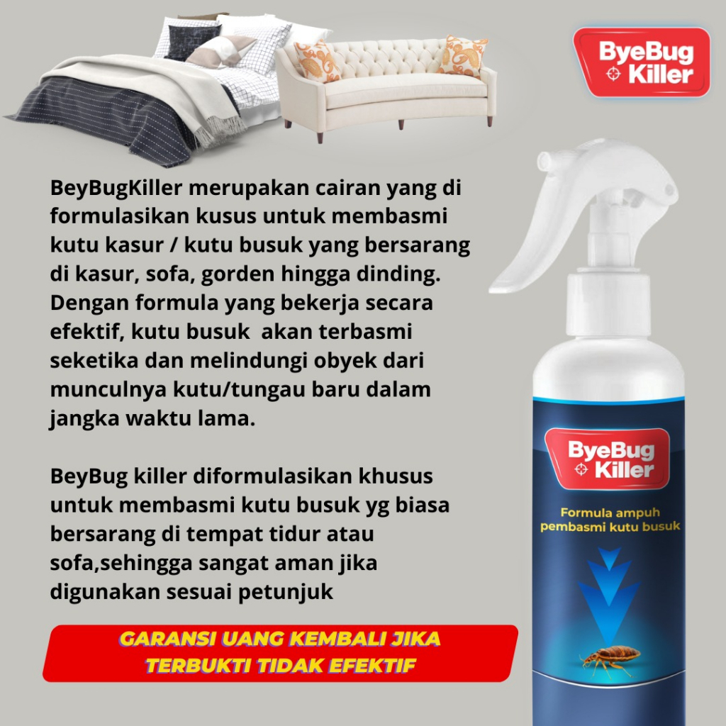 Jual PAKET Pembasmi Serangga - RayKiller Pembasmi Rayap dan ...