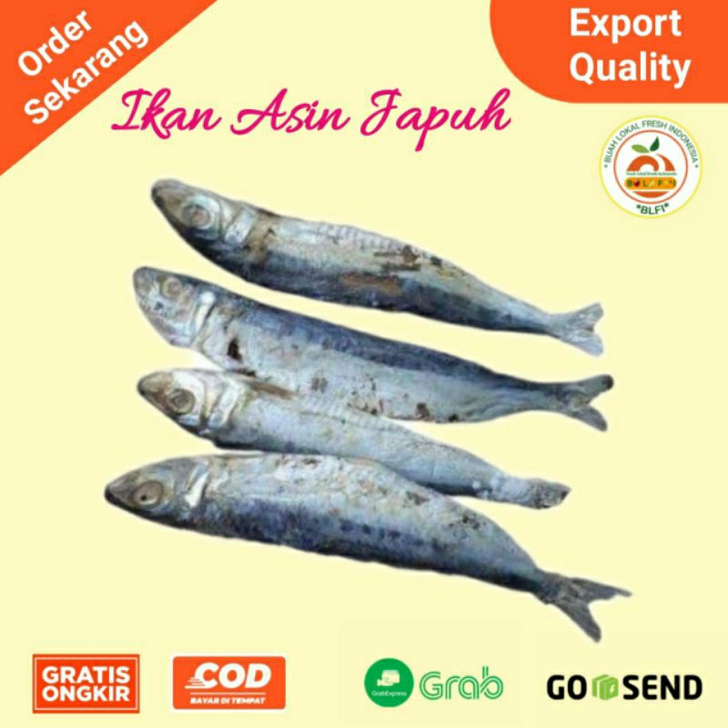 Jual IKAN ASIN JAPUH UKURAN SEDANG ( 100gram ) | Shopee Indonesia