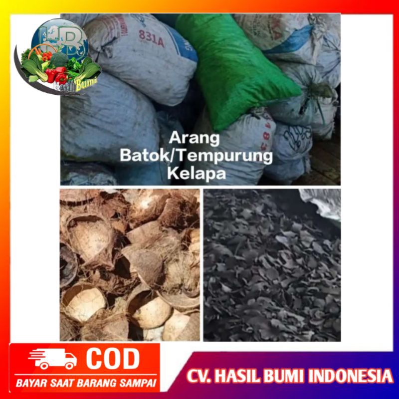 Jual Batok Kelapa Kering Bahan Pembuatan Arang G Shopee Indonesia