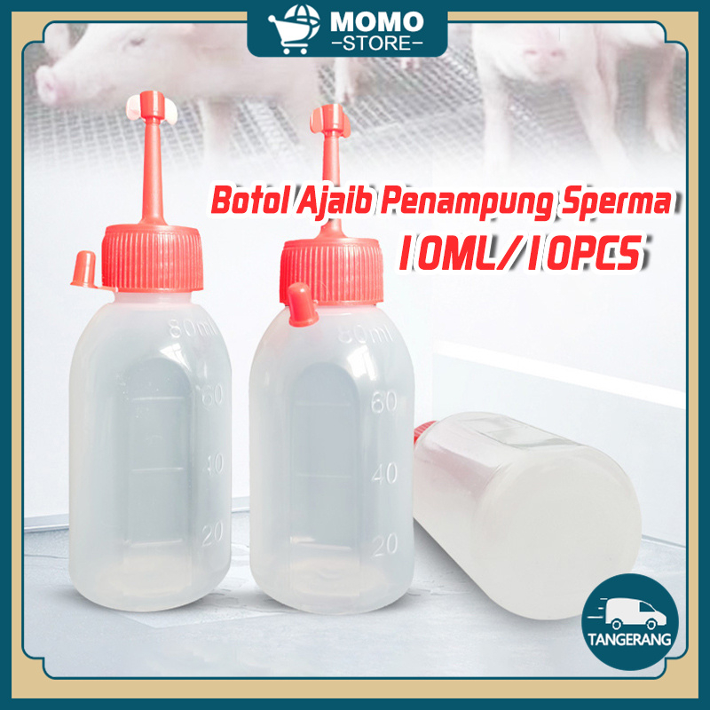 Tanga va paypoq kiygan qizlar yechinishadi