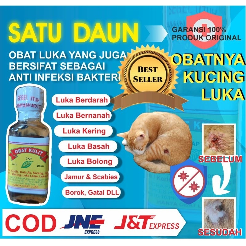 Jual Obat Luka Kucing Anjing Ampuh Mengobati Semua Jenis Luka Luar Bolong Robek Shopee Indonesia