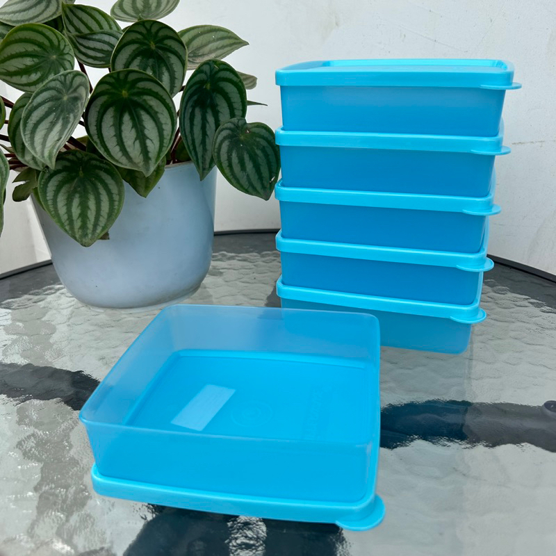 Jual Kotak makan polos Tupperware | Shopee Indonesia
